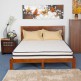 Nilkamal Vibrant Pocket Spring Mattress 