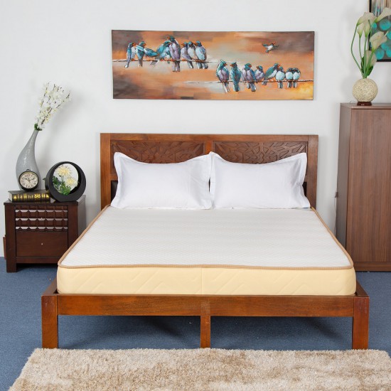 Nilkamal Spinefit Coir Mattress