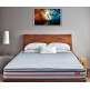 Duroflex Endure - Bonnell Spring Pillow Top Mattress